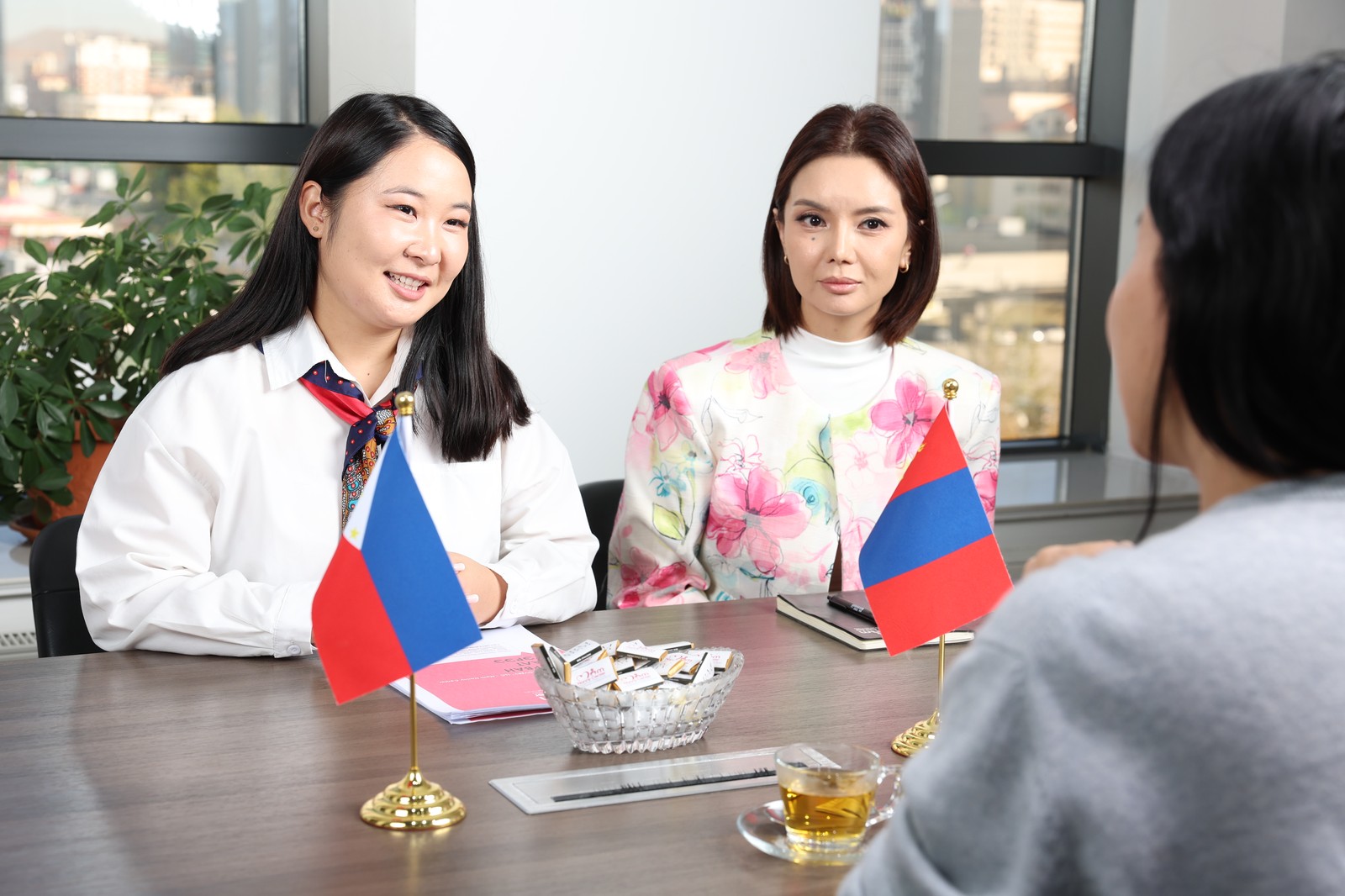 Компанийн танилцуулга хийж буй нь